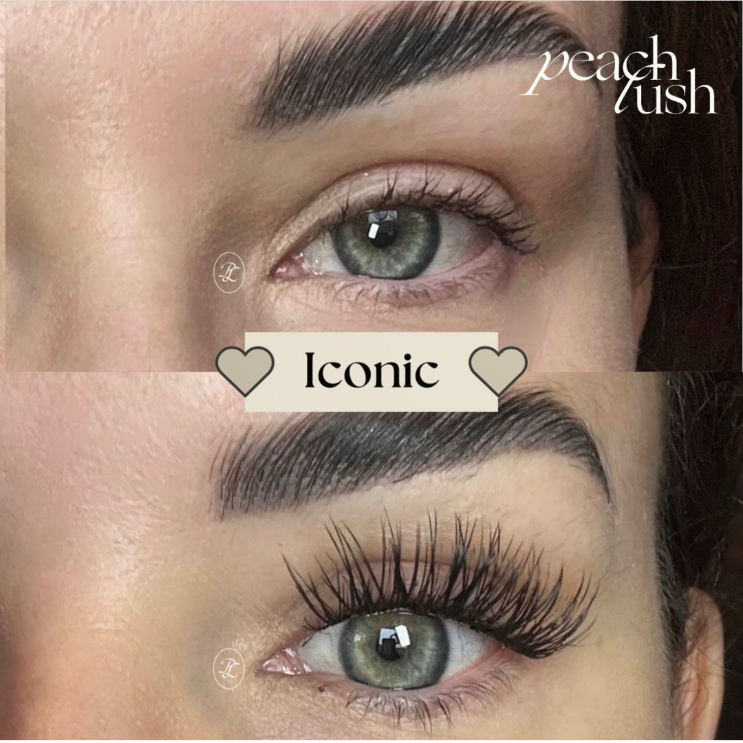 Iconic - Pre-mapped Lush Lashes - DIY Lashes Wimper Extensions Starter Kit