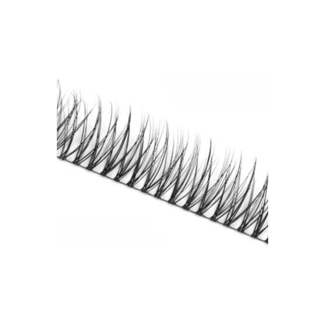 Delicate | Multi-length Lush Lashes Clusters | DIY Wimperextensions