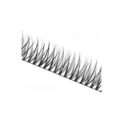 Delicate | Multi-length Lush Lashes Clusters | DIY Wimperextensions