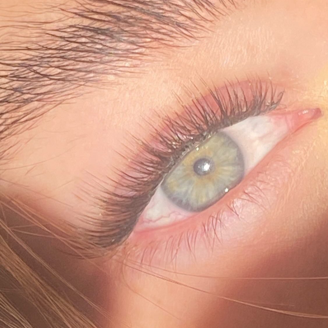 diy wimper extensions Cottony Cherish C krul Cluster lashes